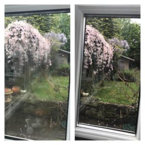 misty glass replacement before and after pictures