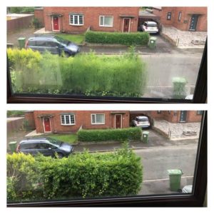 misty glass replacement before and after photos